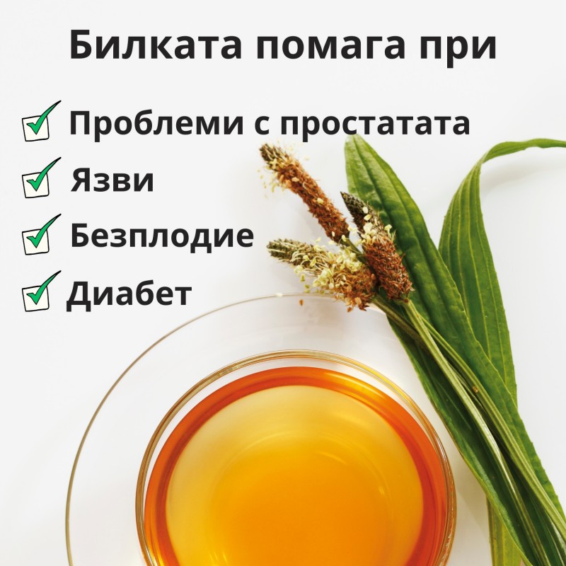 Живовляк теснолист - 70г