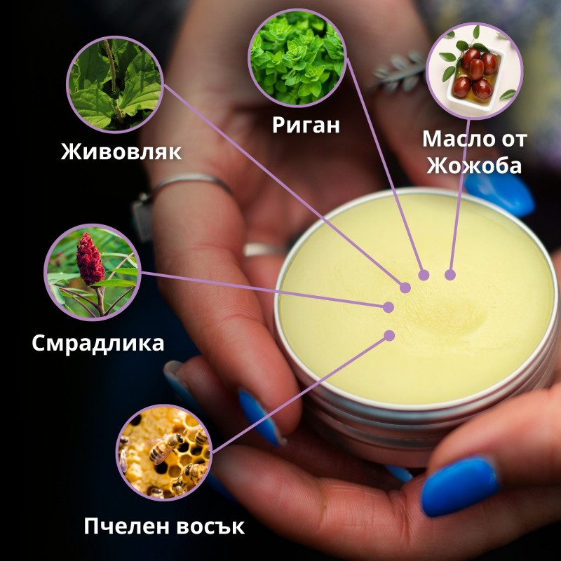 Сет Мехлеми за Домашни любимци