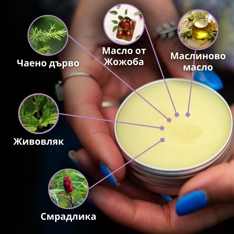 Сет Универсален 2