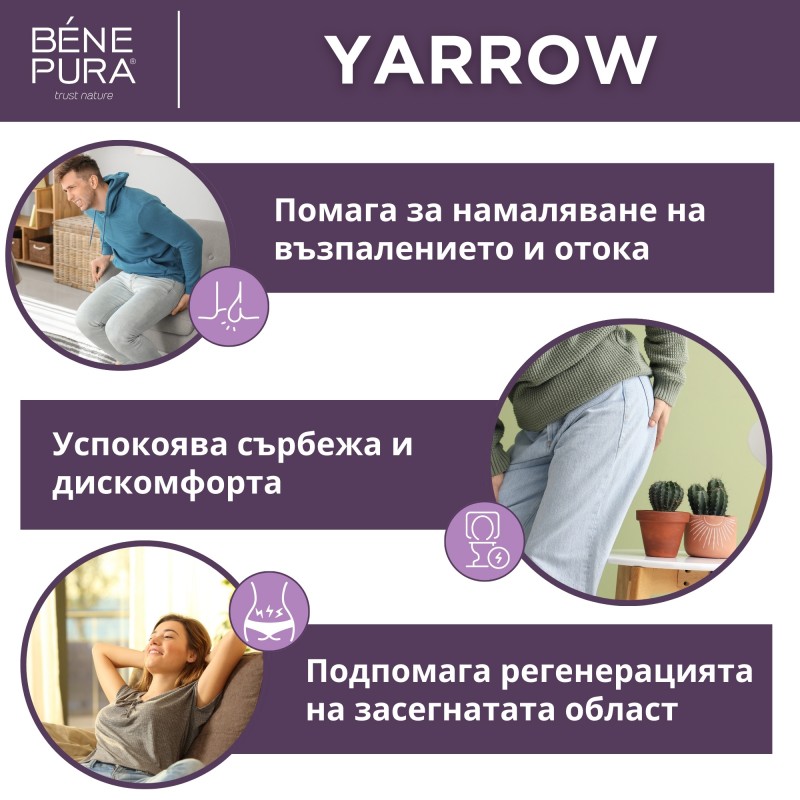 Сет Мехлеми с билки за Хемороиди