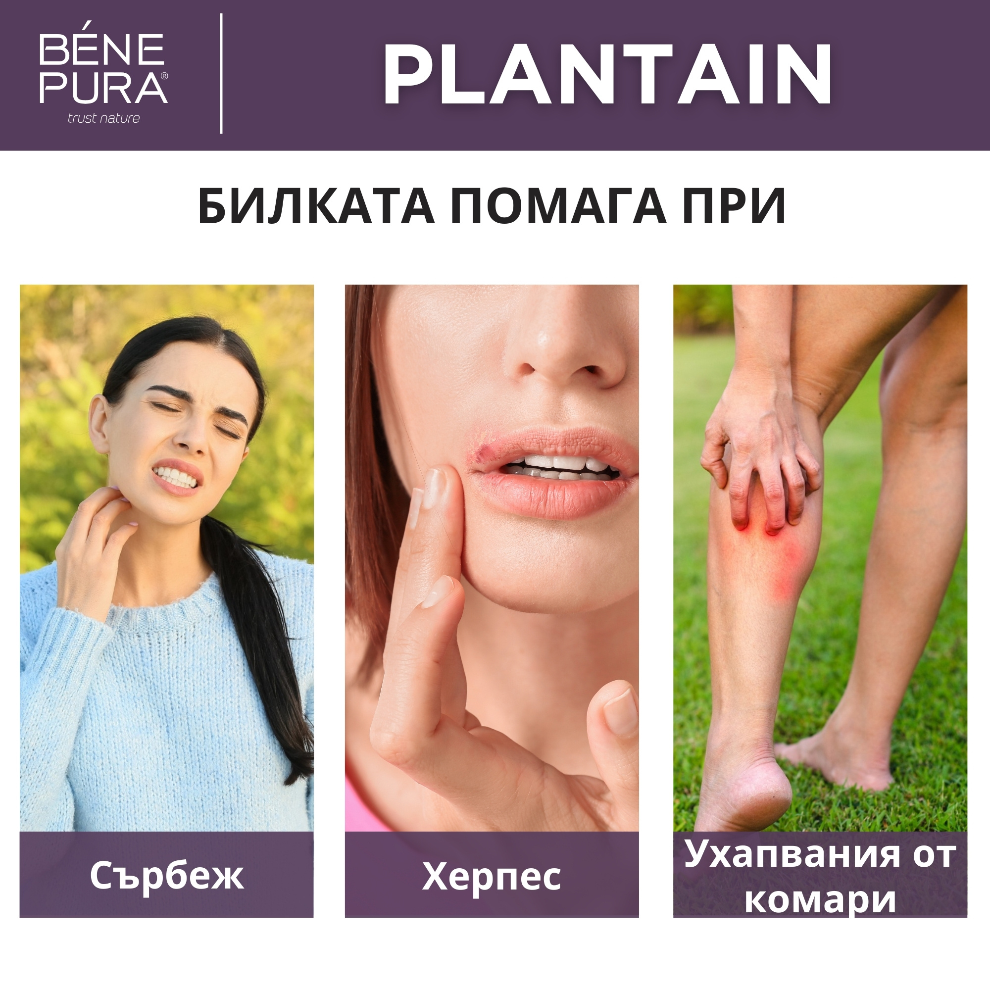 Сет "Мехлеми с билки за Рани, Изгаряния и Кожни раздразнения"